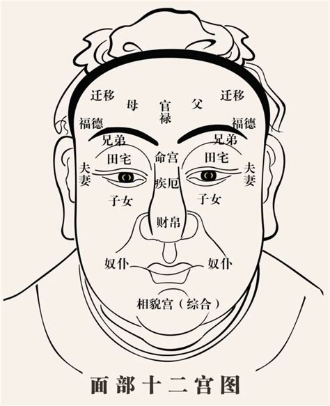 臉頰有肉 面相